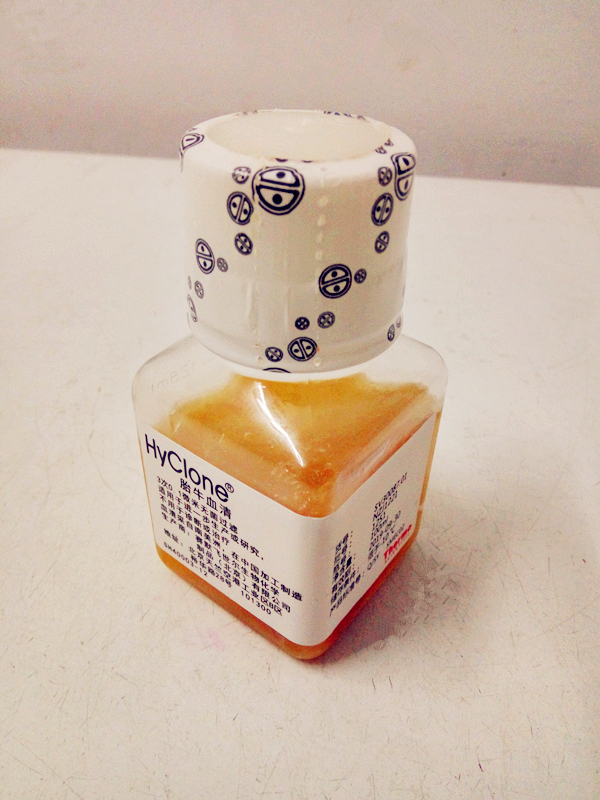 hyclone南美胎牛血清 SV30087.01 100ml 有现货